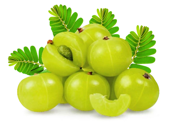 Amla Pickle