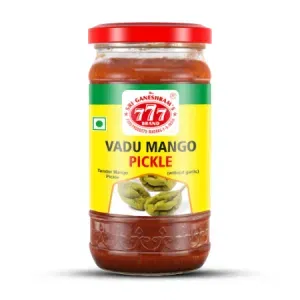 image_2025_02_27T12_11_46_837Z vadu mango pickle