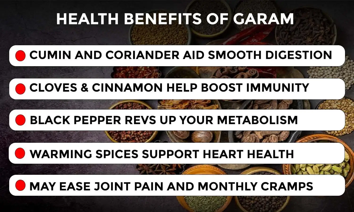 Best Garam Masala Powder