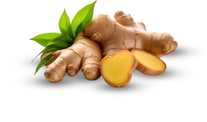 Spicy Ginger Chutney / Thokku