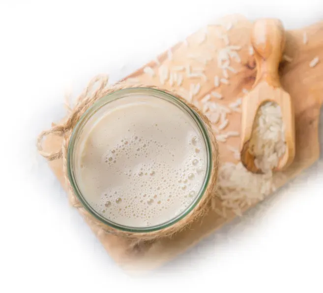 Healthy and quick Instant Multigrain Dosa, made with a blend of grains for a nutritious, crispy dosa in minutes.