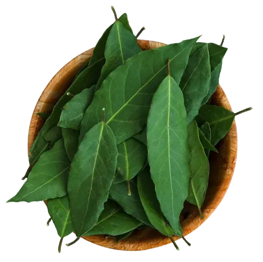Curry Leaf Chutney / Thokku