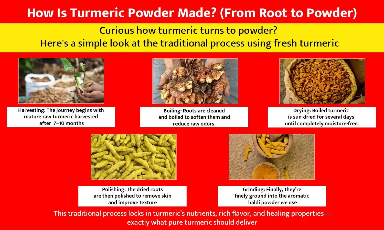 Turmeric Powder Made Of