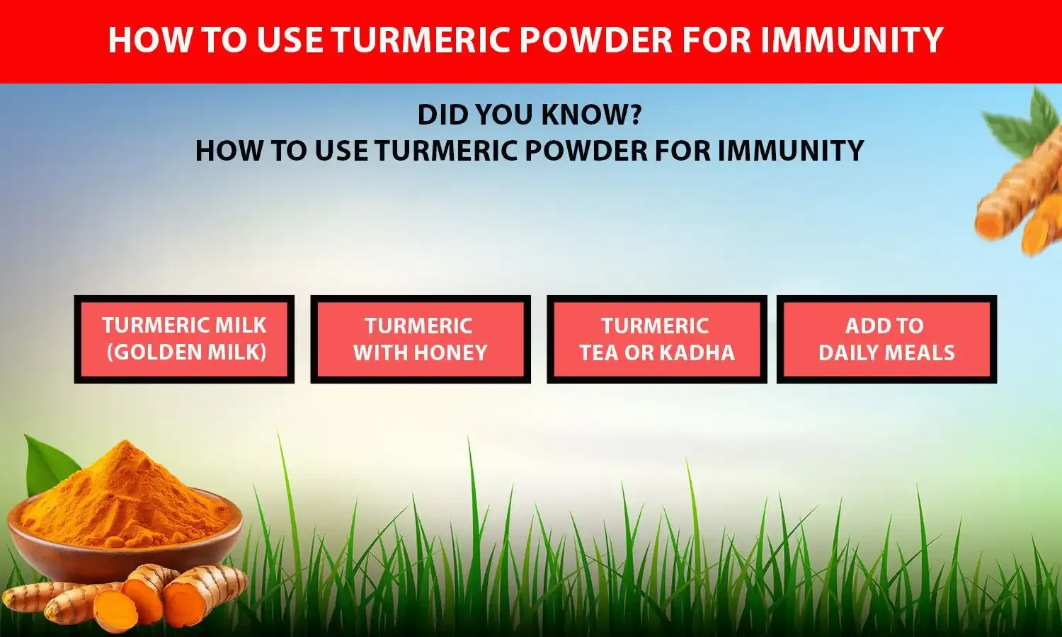 Turmeric Powder for Immunity