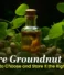 Pure Groundnut Oil: 10 Tips to Choose and Store It the Right Way