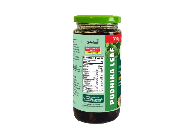 mint leaf chutney